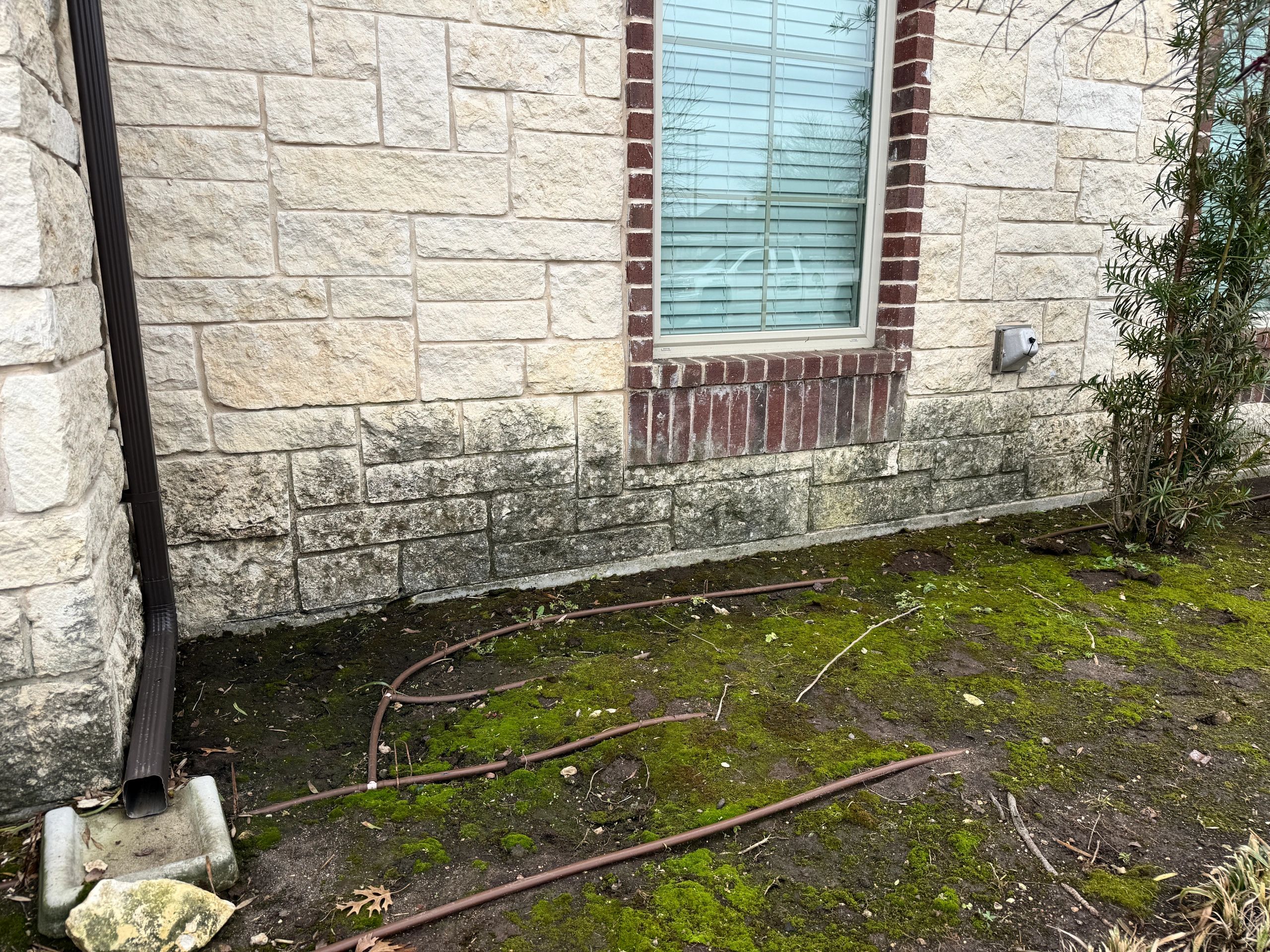 Stone wall before soft wash
