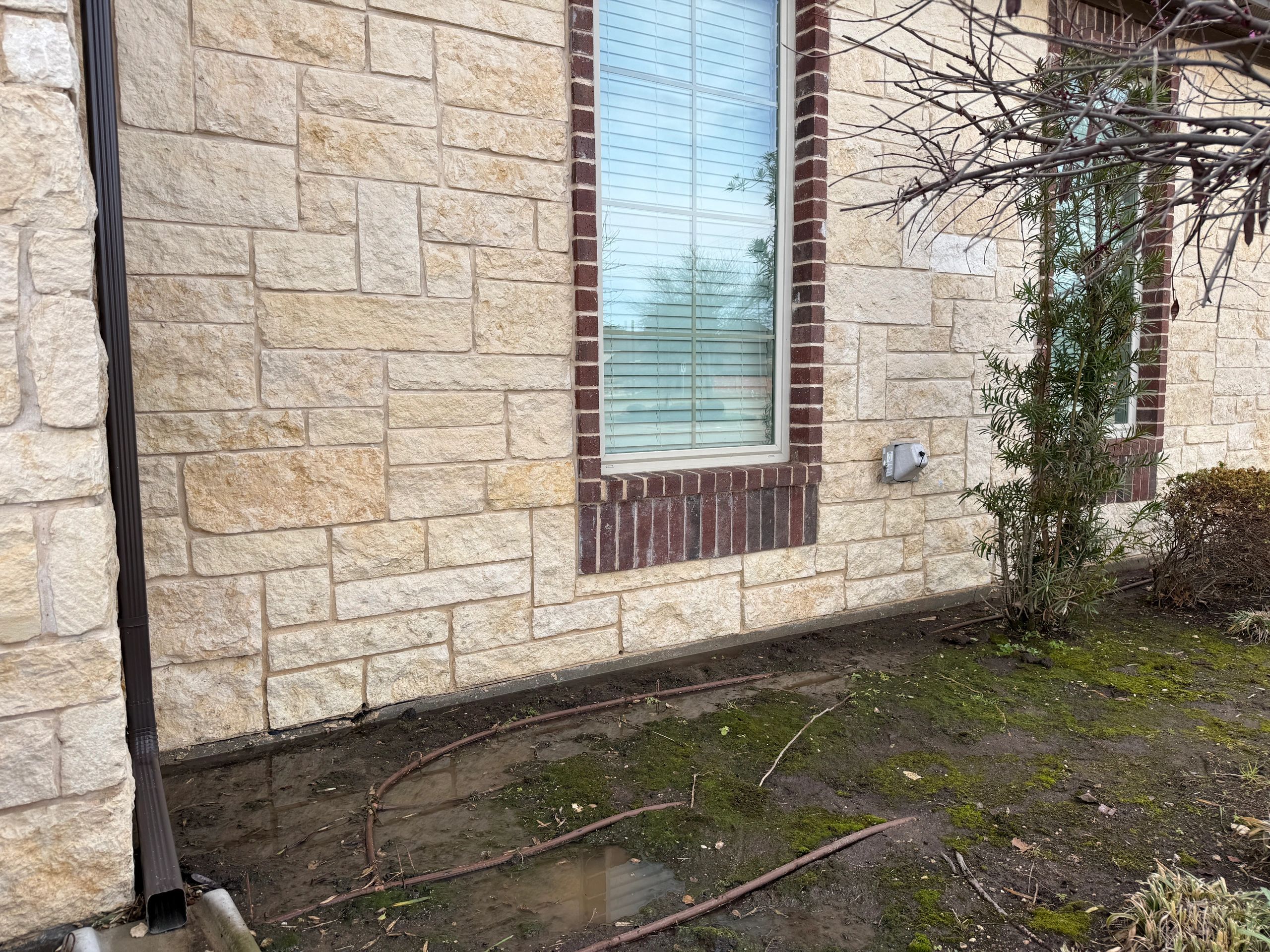 Stone wall after soft wash